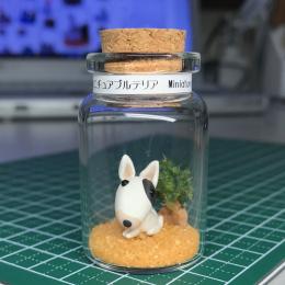 ボトル・フィギア®ミニチュアブルテリア
