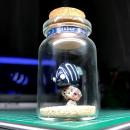 ボトル・フィギア®　ロクセンヤッコ幼魚A