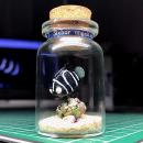 ボトル・フィギア®　ロクセンヤッコ幼魚B