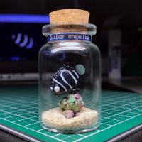 ボトル・フィギア®　ロクセンヤッコ幼魚B