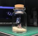 ボトル・フィギア®　ロクセンヤッコ幼魚C