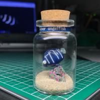 ボトル・フィギア®　ロクセンヤッコ幼魚C