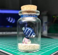 ボトル・フィギア®　ロクセンヤッコ幼魚C